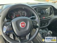 Fiat DOBLO DOBLO | Altro Altro | Borgo Agnello S.p.A.