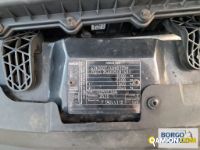 Iveco DAILY 35S14 DAILY 35S14 | Leggero Furgone > 35 q.li Altro | Borgo Agnello S.p.A.