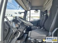Iveco EUROCARGO ML75E21 P EUROCARGO ML75E21 P | Motrice Furgonato | Borgo Agnello S.p.A.