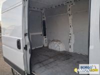 Fiat DUCATO DUCATO | Leggero Furgone > 35 q.li Altro | Borgo Agnello S.p.A.