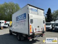 Iveco DAILY 65C15 DAILY 65C15 | Motrice Isotermico / coibentato | Borgo Agnello S.p.A.