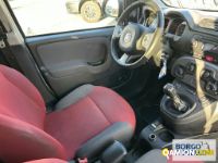 Fiat PANDA PANDA | Leggero Furgone > 35 q.li Altro | Borgo Agnello S.p.A.