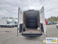 Iveco DAILY 35S16 DAILY 35S16 | Leggero Furgone > 35 q.li Altro | Borgo Agnello S.p.A.