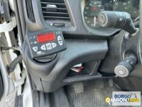 Iveco DAILY 65C15 DAILY 65C15 | Motrice Isotermico / coibentato | Borgo Agnello S.p.A.