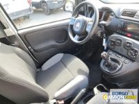 Fiat PANDA PANDA | Automobile Automobile | Borgo Agnello S.p.A.