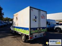 Fiat DUCATO DUCATO | Altro Isotermico / coibentato | Borgo Agnello S.p.A.
