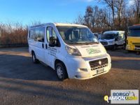 Fiat DUCATO DUCATO | Bus Minibus | Borgo Agnello S.p.A.