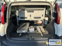 Fiat PANDA PANDA | Leggero Furgone > 35 q.li Altro | Borgo Agnello S.p.A.