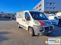 Fiat DUCATO DUCATO | Bus Minibus | Borgo Agnello S.p.A.
