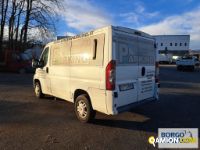 Fiat DUCATO DUCATO | Bus Minibus | Borgo Agnello S.p.A.