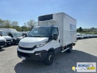 Iveco DAILY 65C15 DAILY 65C15 | Motrice Isotermico / coibentato | Borgo Agnello S.p.A.
