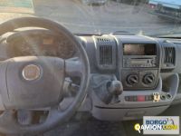 Fiat DUCATO DUCATO | Bus Minibus | Borgo Agnello S.p.A.