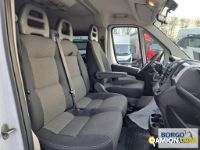 Fiat DUCATO DUCATO | Bus Minibus | Borgo Agnello S.p.A.