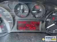 Iveco DAILY 65C15 DAILY 65C15 | Motrice Isotermico / coibentato | Borgo Agnello S.p.A.