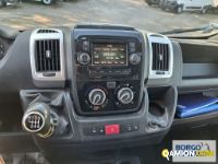 Fiat DUCATO DUCATO | Altro Isotermico / coibentato | Borgo Agnello S.p.A.