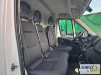 Fiat DUCATO DUCATO | Altro Isotermico / coibentato | Borgo Agnello S.p.A.