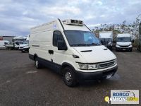 Iveco DAILY 35S16 DAILY 35S16 | Leggero Furgone > 35 q.li Altro | Borgo Agnello S.p.A.