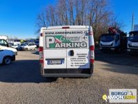 Fiat DUCATO DUCATO | Bus Minibus | Borgo Agnello S.p.A.