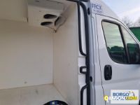 Fiat DUCATO DUCATO | Altro Isotermico / coibentato | Borgo Agnello S.p.A.
