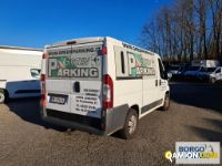 Fiat DUCATO DUCATO | Bus Minibus | Borgo Agnello S.p.A.