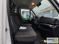 Iveco DAILY 35C16 DAILY 35C16 | Altro Isotermico / coibentato | Borgo Agnello S.p.A.