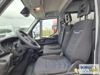 Iveco DAILY 35S16 DAILY 35S16 | Leggero Furgone > 35 q.li Altro | Borgo Agnello S.p.A.