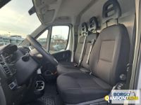 Fiat DUCATO DUCATO | Altro Isotermico / coibentato | Borgo Agnello S.p.A.