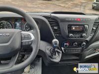 Iveco DAILY 35C14 DAILY 35C14 | Leggero Furgone > 35 q.li Altro | Borgo Agnello S.p.A.