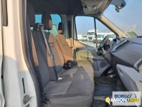 Ford TRANSIT TRANSIT | Bus Minibus | Borgo Agnello S.p.A.
