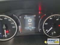 Iveco DAILY 35C16 DAILY 35C16 | Altro Isotermico / coibentato | Borgo Agnello S.p.A.