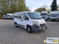 Fiat DUCATO DUCATO | Bus Minibus | Borgo Agnello S.p.A.