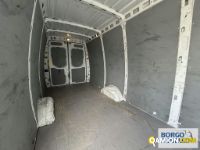 Iveco DAILY 35S16 DAILY 35S16 | Leggero Furgone > 35 q.li Altro | Borgo Agnello S.p.A.
