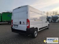Fiat DUCATO DUCATO | Altro Isotermico / coibentato | Borgo Agnello S.p.A.