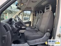 Fiat DUCATO DUCATO | Bus Minibus | Borgo Agnello S.p.A.