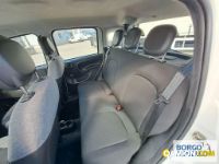 Fiat PANDA PANDA | Automobile Automobile | Borgo Agnello S.p.A.