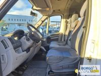 Fiat DUCATO DUCATO | Bus Minibus | Borgo Agnello S.p.A.