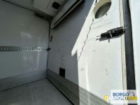 Iveco DAILY 65C15 DAILY 65C15 | Motrice Isotermico / coibentato | Borgo Agnello S.p.A.