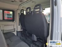Fiat DUCATO DUCATO | Bus Minibus | Borgo Agnello S.p.A.