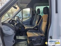 Ford TRANSIT TRANSIT | Bus Minibus | Borgo Agnello S.p.A.