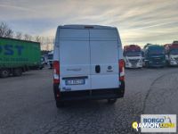 Fiat DUCATO DUCATO | Altro Isotermico / coibentato | Borgo Agnello S.p.A.