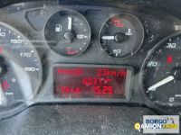 Iveco DAILY 65C15 DAILY 65C15 | Motrice Isotermico / coibentato | Borgo Agnello S.p.A.