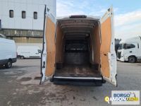 Iveco DAILY 35S14 DAILY 35S14 | Leggero Furgone > 35 q.li Altro | Borgo Agnello S.p.A.