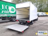 Iveco DAILY 35C16 DAILY 35C16 | Leggero Furgone > 35 q.li Altro | Borgo Agnello S.p.A.