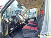 Fiat DUCATO DUCATO | Bus Minibus | Borgo Agnello S.p.A.