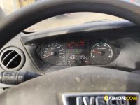 Iveco DAILY 35C13 DAILY 35C13 | PROCIDAMACCHINE S.R.L.