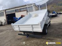 Iveco DAILY 35C13 DAILY 35C13 | PROCIDAMACCHINE S.R.L.