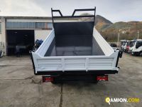 Iveco DAILY 35C15 DAILY 35C15 | PROCIDAMACCHINE S.R.L.