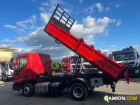 Iveco Eurocargo 80E19 Eurocargo 80E19 | PROCIDAMACCHINE S.R.L.