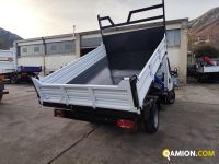 Iveco DAILY 35C15 DAILY 35C15 | PROCIDAMACCHINE S.R.L.