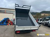 Iveco DAILY 35C13 DAILY 35C13 | PROCIDAMACCHINE S.R.L.